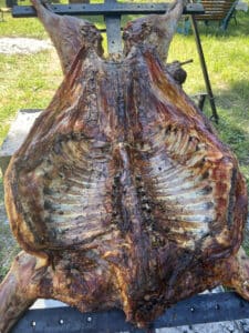 Agneau entier rôti lentement à la broche, peau croustillante dorée et côtes apparentes, préparé en extérieur sur un support métallique.